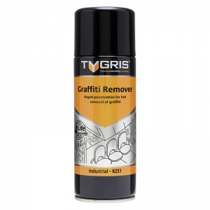 Aerosol graffiti remover for painted or plastic surfaces